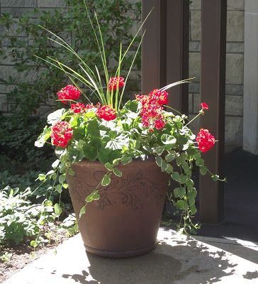 geraniums, vinca and spike Flower Pot Design Ideas, Pot Design Ideas, Flower Pots Ideas, Pots Ideas, Front Porch Flowers, Potted Geraniums, Porch Flowers, Container Garden Design, Flower Pot Design