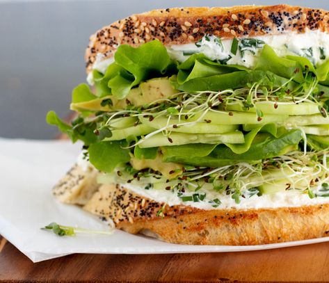 Alfalfa Sprouts Recipes, Sprout Sandwich, Herbed Cream Cheese, Spinach Sandwich, Green Leaf Lettuce, Healthy Sandwich, Summer Sandwiches, Cream Cheese Spread, Leaf Lettuce