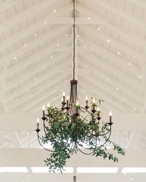 #cedarwoodweddings Cedarwood Weddings on Instagram: “Dream big with us | 📷: @juliepaisleyphotography | Venue, Floral, Planning: @cedarwoodweddings” Greenery On Chandelier Wedding, Greenery On Chandelier, Greenery Chandelier Wedding, Chandelier With Greenery, Chandelier Greenery, Wedding Card Suitcase, Chandelier Flowers, Enchanted Forest Wedding Theme, Tuscany Wedding Venue