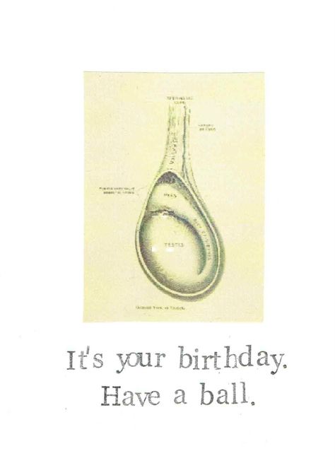 Have A Ball Testicle Birthday Card | Funny Science Medical Humor Pun Men Nerdy Puns, Birthday Ecards Funny, Happy Birthday For Him, Humor Birthday, Birthday Quotes For Him, Birthday Card Sayings, Funny Science, Birthday Quotes Funny, Funny Happy Birthday