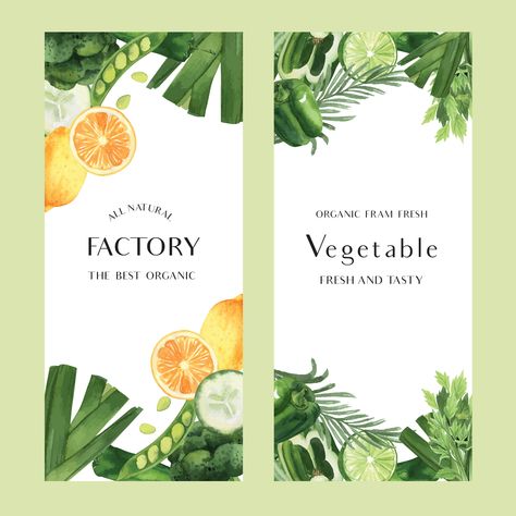 Green vegetables watercolor Organic farm fresh for food menu , aquarelle  banner card design vector illustration. Watercolor Tomatoes, Vegetables Watercolor, Fashion Sale Banner, Vegetable Illustration, Farm Fresh Recipes, Food Backgrounds, Organic Farm, Restaurant Menu Design, Certificate Design