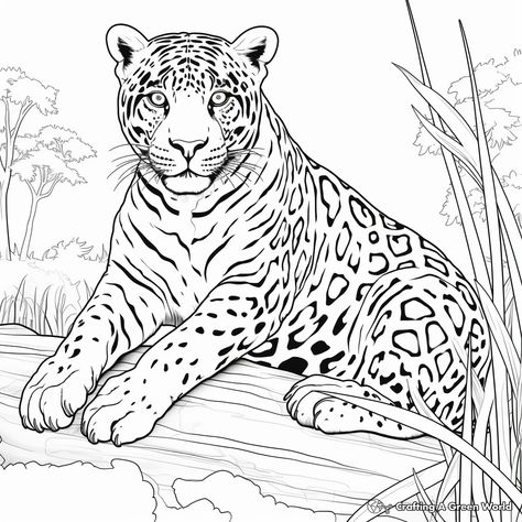 Jaguar Coloring Pages, Animal Coloring Sheets, Big Cat Tattoo, Cute Simple Tattoos, Marvel Character Design, Afrique Art, Horse Coloring Pages, Bible Coloring Pages, Animals Pictures