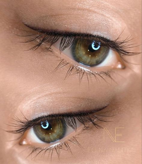 Permanent Eyeliner Styles, Eyeliner Permanent Makeup, Semi Permanent Eyeliner, Mircoblading Eyebrows, Bentuk Alis, Classic Eyeliner, Permanent Makeup Eyeliner, Eyeliner Shapes, Permanente Make-up