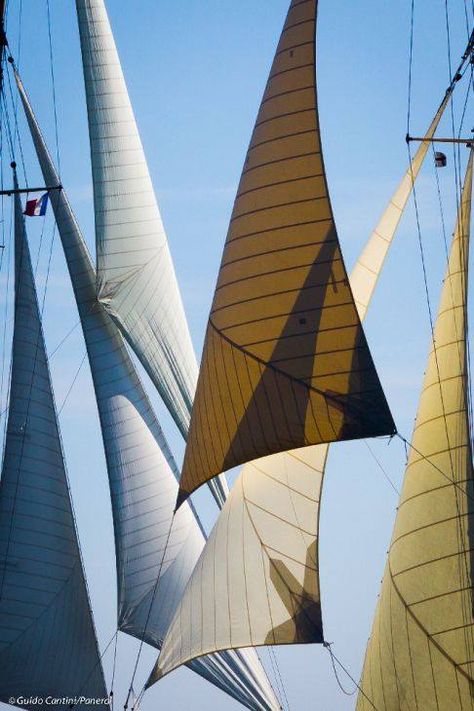 Boating Aesthetic, Yacht Vacation, Ship Sails, Sail Yacht, Sail Cloth, Sailing Cruises, Sailing Art, Classic Sailing, Sailing Holidays