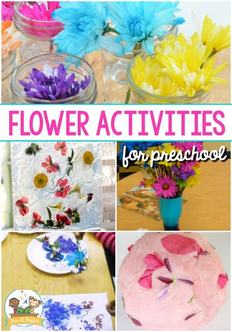 Flower Activities for Preschool. A list of the best flower ideas and activities for a spring or flower theme in your preschool or kindergarten classroom. #preschool Flower Activities For Preschool, Preschool Flower Theme, Flowers Preschool, Preschool Flowers, Flower Activities For Kids, Spring Stem Activities, Flower Activities, Flower Math, Flowers For Butterflies