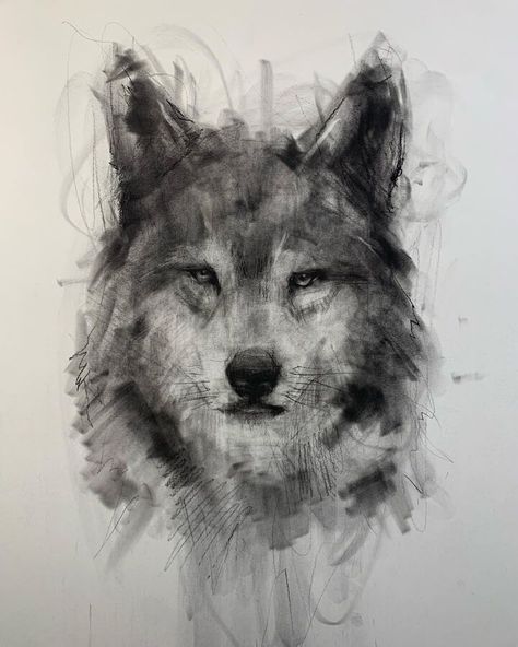 Charcoal Portrait Drawing Drawings Charcoal Ideas, Wolf Charcoal Drawing, Charcoal Tutorial Step By Step, Charcoal Dog Drawing, Charcoal Art Ideas Easy, Coal Drawing Easy, Contrast Drawing Ideas, Charcole Sketch, Charcoal Animal Drawings