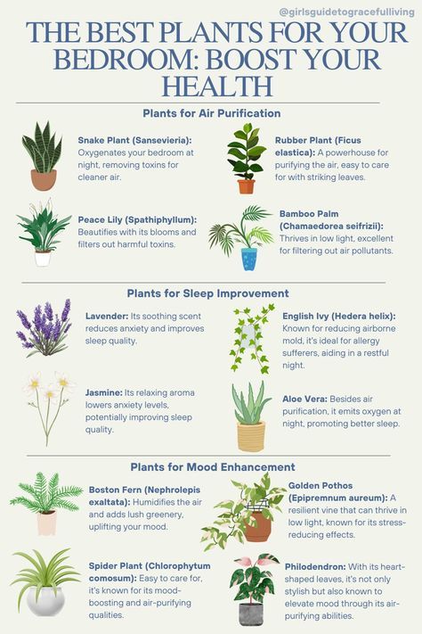 Bedrooms Plants, Best Indoor Plants For Health, Healthy House Plants, Spiritual Plants, Plants For Bedroom, Bedroom Plants Decor, Witchy Garden, Snake Plant Care, Household Plants