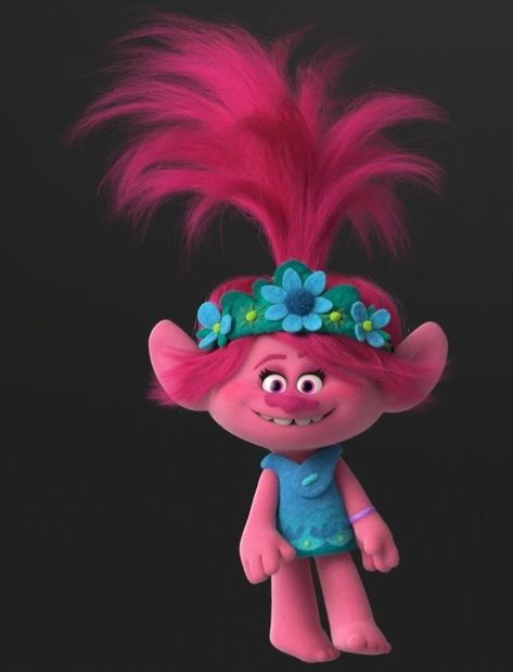 Queen Poppy, Lucas Movie, Poppy And Branch, Hedgehog Movie, Pop P, Trolls Movie, Dreamworks Trolls, Girls Rules, Coraline