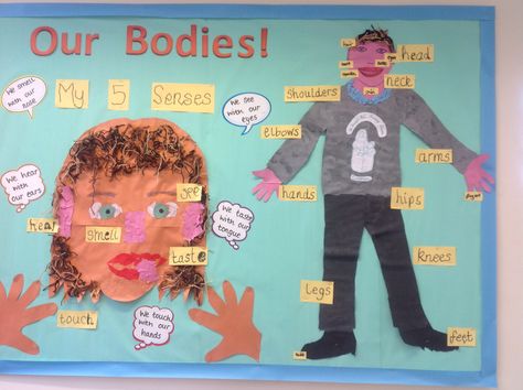 Ourselves, all about me, senses, eyfs, foundation stage, nursery Senses Display Eyfs, My Body Bulletin Board Ideas, Human Body Eyfs Activities, Senses Eyfs, Marvellous Me Eyfs, All About Me Display, All About Me Eyfs, All About Me Topic, Kindergarten Behavior