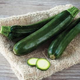 HEIRLOOM ZUCCHINI SEEDS Growing Zucchini, Green Zucchini, Squash Vegetable, Squash Seeds, Zucchini Squash, Vegetable Seeds, Summer Vegetable, Zucchini Bread, Summer Squash