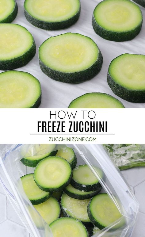 How to freeze zucchini by Zucchini Zone. Don't let that garden zucchini go to waste! Today we're talking about how to freeze zucchini (sliced and shredded) so you can enjoy that summer harvest year round. #howtofreezezucchini #freezingzucchini #frozenzucchini #frozenshreddedzucchini #frozenzucchinislices Best Way To Freeze Zucchini, Frozen Zucchini Recipes, Can You Freeze Zucchini, How To Freeze Zucchini, Freezing Veggies, Frozen Zucchini, Zucchini Smoothie, Low Sugar Smoothies, Freezing Zucchini