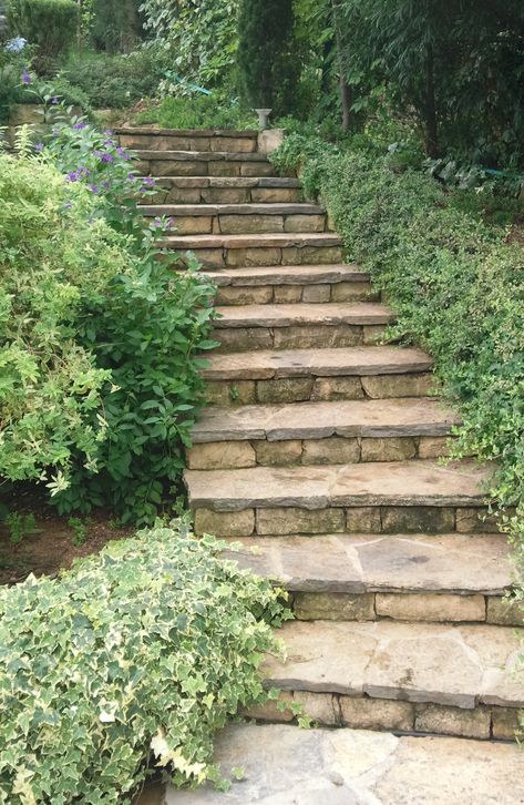 Natural Stone Steps Front Door, Stone Steps On Hill, Cabin Hillside, Stone Stairs Outdoor, Flagstone Stairs, Outdoor Stone Steps, Front Porch Stone Steps, Small Ornamental Trees, Trees In Pots