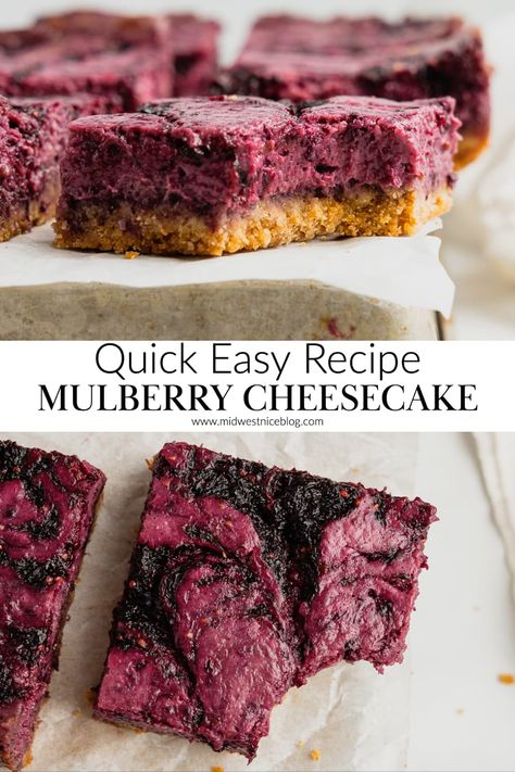 Made with fresh or frozen mulberries, these quick and simple mulberry cheesecake bars don't require a water bath or springform pan! Mulberry Cheesecake, Mulberries Recipes, Mulberry Recipes, Cheesecake Squares, Harvest Recipes, Springform Pan, Cheesecake Bars, Food Decoration, Cheesecake Recipes