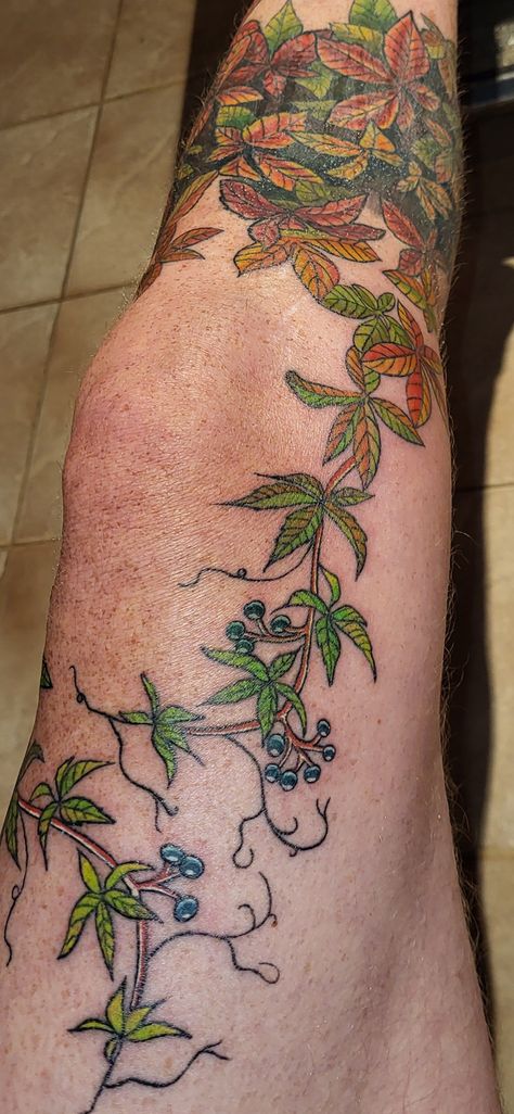 Virginia Creeper Tattoo, Creeper Tattoo, Virginia Creeper Vine, Second Tattoo, Virginia Creeper, Vine Tattoos, A Work In Progress, Creepers, Work In Progress