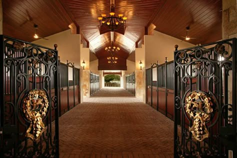 Luxury Horse Stables, Wellington Equestrian, Luxury Horse Barns, Dream Barn Stables, Horse Barn Ideas Stables, Barn Stalls, Wellington Florida, Horse Barn Designs, Dream Stables