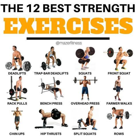 THE 12 BEST STRENGTH EXERCISES!! - Well, the best? Yeah I think these are the best, you might have a different opinion. As you probably already know if you’ve been following me for just a little bit of time now. You know I don’t believe in “best exercises” for a given goal, for fat loss or muscle gain, heck even strength gain. - You see, strength is a very subjective topic. What does strong mean? Is strong lifting a literal shit ton of weight? Or is strength being very strong in the... Compound Workout, Ab Workout Machines, Karate Training, Strength Exercises, Online Fitness Coaching, Gym Workout Chart, Compound Exercises, Weight Training Workouts, Muscle Gain