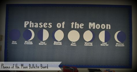 phases of the moon bulletin board... the moons were cut out of construction paper. The large letters were printed and cut out. The smaller letters were printed onto a blue background so that they would blend into the material and not have to be cut out individually. Moon Phase Bulletin Board, Moon Classroom Decor, Moon Display Classroom, Moon Bulletin Board Ideas, Moon Bulletin Board, Moon Phases Anchor Chart, Moon Phase School Projects, Moon Phase Project, School Corridor