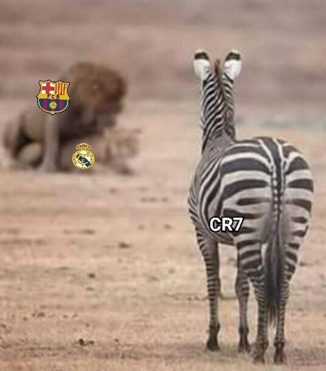 Accurate! Real Vs Barca, Real Madrid Cr7, Real Madrid Vs Barcelona, Madrid Vs Barcelona, Barcelona Vs Real Madrid, Lionel Messi Wallpapers, Toyota Supra Mk4, Football Is Life, Cristiano Ronaldo Cr7