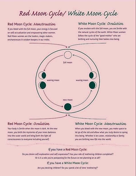 White Moon Cycle, Red Moon Cycle, Moon Cycle, Self Actualization, White Moon, Moon Cycles, Red Moon, Best Mother, New Moon