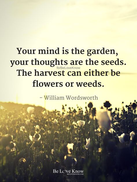 "Your mind is the garden, your thoughts are the seeds. The harvest can either be flowers or weeds." ~ William Wordsworth Garden Therapy Quotes, Your Mind Is A Garden Quote, Harvest Quotes Inspiration, Funny Metaphors, Metaphors About Life, Wordsworth Quotes, William Wordsworth Quotes, Harvest Quotes, William Wordsworth Poems