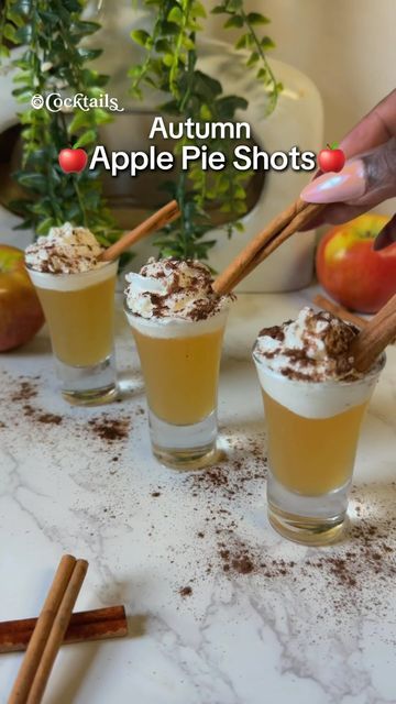 Fall Shots Alcohol Drink Recipes, Apple Pie Shots Recipe, Thanksgiving Shots, Whiskey Desserts, Thanksgiving Jello, Apple Pie Shots, Fireball Drinks, Drink Board, Cinnamon Whiskey