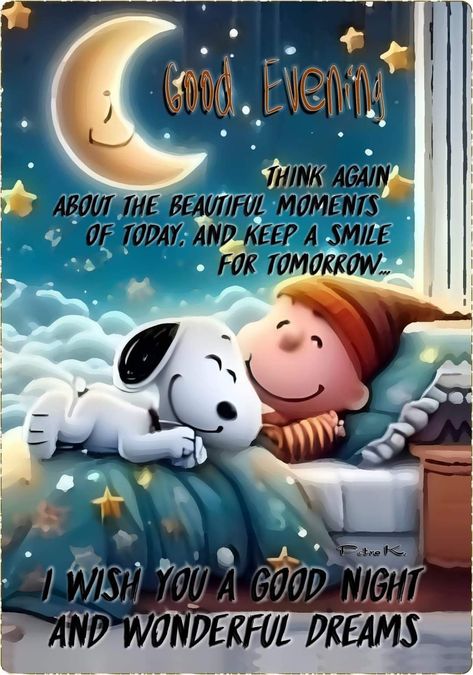 Snoopy Good Night, Goodnight Quotes For Him, Peanuts Gang Christmas, Have A Nice Evening, Good Night Prayer Quotes, Good Morning Snoopy, Happy Evening, Happy Mothers Day Images, Beautiful Good Night Quotes