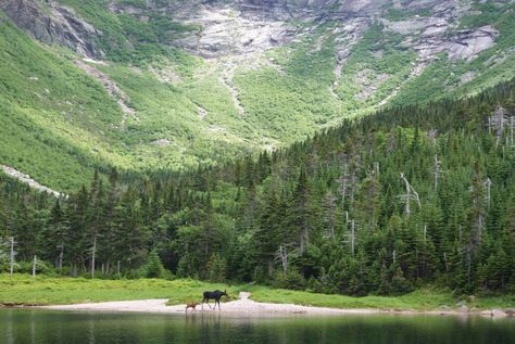 most beautiful places in maine Ogunquit Beach, Baxter State Park, Visit Maine, Wanderlust Photography, Maine Travel, Beautiful Places On Earth, Acadia National Park, Beautiful Places Nature, Beach Town