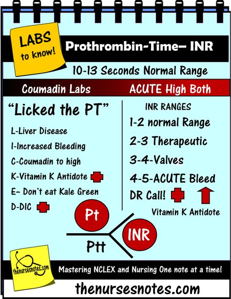 Coagulation labs Prothrombin INR Cardiac Enzymes Fishbone Cheat Sheet Mnemonic Nursing Student This is a sheet from my acuute book explaining cardiac enzymes.and explaining the normals and abnormal Na K Cr Hypomagnesemia BUN Creatinine Addisons Dehydration Study Sheets for Nurses NCLEX Tips Nursing Notes Cheats cardiac tamponade nursing mnemonic Ccrn Review, Nurses Notes, Nursing Labs, Nurse Notes, Study Sheets, Medical Study, Lab Science, Nursing Cheat, Nclex Study