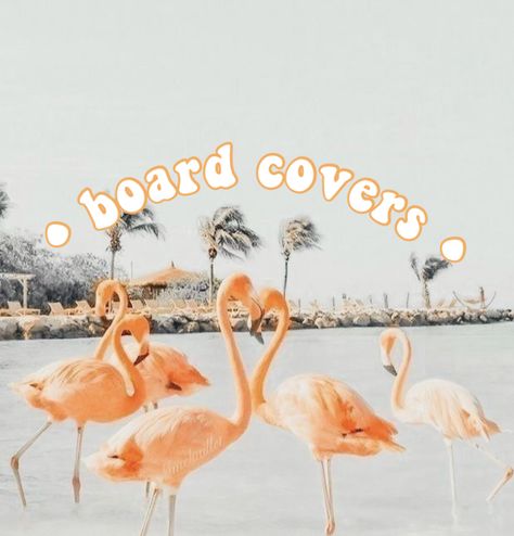 Aesthetic Peach, Peach Wallpaper, Aesthetic Preppy, Peach Aesthetic, Board Covers, Preppy Aesthetic, Laptop Wallpaper, Animal Wallpaper, Water Park