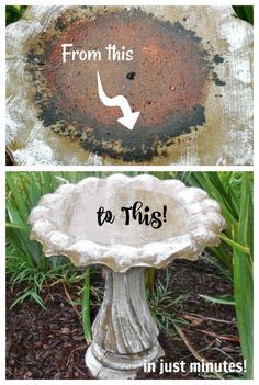 Cement Bird Bath, Backyard Birds Watching, Stone Bird Baths, Backyard Birds Sanctuary, Bird Fountain, Concrete Bird Bath, Clean Concrete, Diy Bird Bath, Bird Bath Fountain