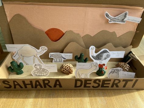 Sahara Desert Diorama, Desert Project For School, Desert Habitat Projects For Kids, Uae National Day Ideas Activities, School Diorama, Desert Crafts, Desert Project, Ali Project, Desert Diorama