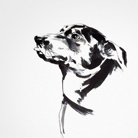 Black & white dog portrait, pen & ink style with brush White Dog Portrait, Ink Brush Drawing, Portrait Pen, Dog Watercolor Painting, Brush Pen Art, Dog Sketch, Brush Drawing, Tinta China, Ink Brush