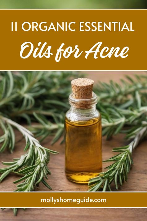 Essential Oils For Pimples, How To Use Frankincense Essential Oil, Essential Oils For Acne, Best Essential Oils For Skin, Oils For Acne, Face Acne Treatment, Juniper Berry Essential Oil, Tea Tree Oil For Acne, Essential Oils For Face