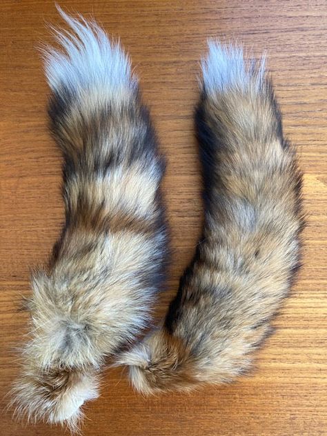 Fox, Red - Tail Therian Quads, Therian Tail, Creature Anatomy, Therian Stuff, Animal Tails, Black Tips, Vulture Culture, Fox Tail, Maybe In Another Life