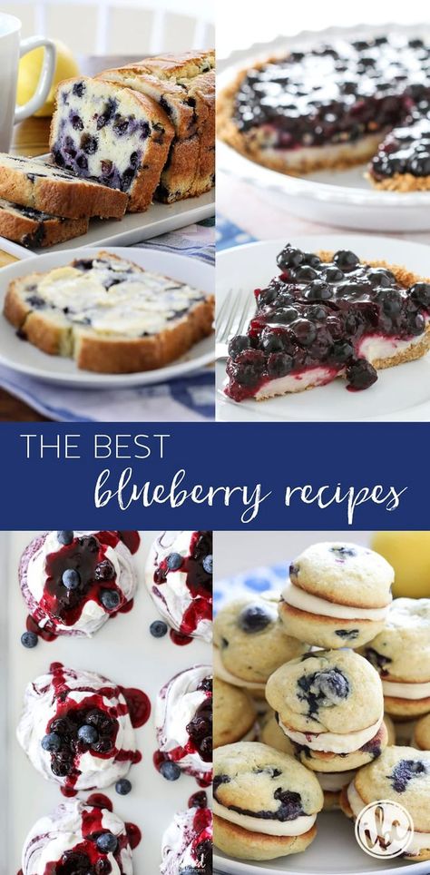 My Best Blueberry Recipes. If you’re blueberry-obsessed like I am, you’ll probably want to make all of these blueberry recipes many times. Blueberry Dessert Recipes, Blueberries Breakfast, Blueberry Yogurt Muffins, Blueberry Cream Pies, Blueberry Shortcake, Blueberry Desserts Recipes, Blueberry Pancakes Recipe, Creative Dessert Recipes, Dessert Summer