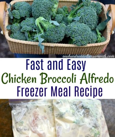 Freezer Meals - Chicken Broccoli Alfredo - One Hundred Dollars a Month Freezer Meals Chicken, Meals Chicken, Chicken Freezer Meals, Chicken Broccoli Alfredo, Freezer Dinners, Budget Freezer Meals, Freezer Friendly Meals, Freezable Meals, Freezer Meal Planning