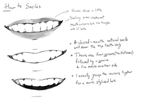 Smile With Teeth Drawing Reference, Human Teeth Reference, Open Mouth Smile Reference, How To Draw Lips With Teeth, Smile Teeth Drawing, How To Draw Braces On Teeth, How To Draw Teeth Smile, Side Smile Drawing, Jawline Reference