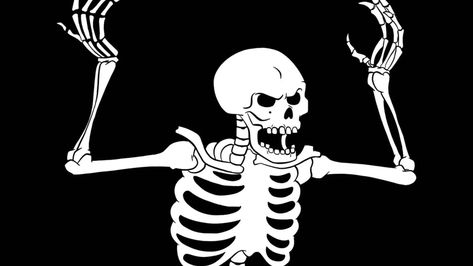 Pfp Skeleton, Skeleton Meme, Wallpaper Full Hd 4k, Skeleton Wallpaper, Animal Skeleton, Meme Background, Full Hd 4k, Funny Skeleton, Body Support