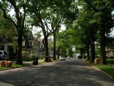 House In Neighborhood, Quick Easy Braided Hairstyles, Tree Lined Street, Easy Braided Hairstyles, Pull Through Braid, Street Trees, Small Town Life, Suburban House, Scenic Photos