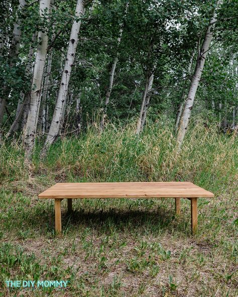 Build a Simple DIY Boho Picnic Table (Low Profile) | The DIY Mommy Beach Picnic Table Diy, Diy Low Picnic Table Outdoor Dining, Diy Beach Picnic Table, Diy Folding Picnic Table, Low Table Picnic, Diy Picnic Table Low, Low Profile Picnic Table, Floor Table Diy, Diy Kids Table For Party