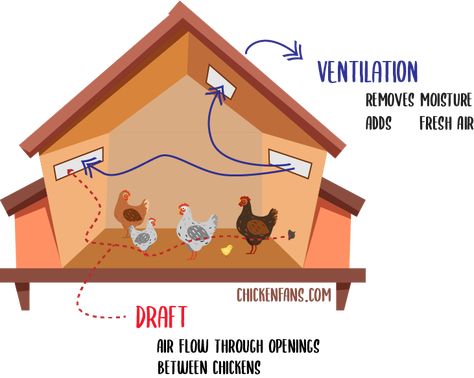 Ventilation Diagram, Design Chicken Coop, Chicken Coop Ventilation, Pallet Backyard, Coop Ventilation, Chicken Coop Decorations, Deep Litter Method, Coop Layout, Inside Chicken Coop