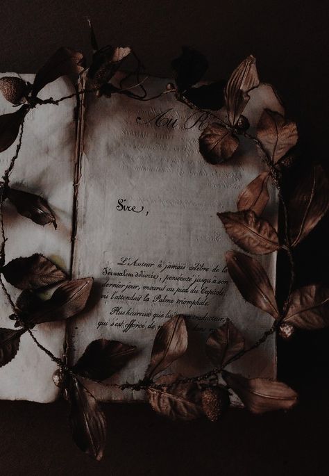 Kalender Design, Fairytale Aesthetic, Royalty Aesthetic, Royal Aesthetic, Book Flowers, Book Wallpaper, Images Esthétiques, Dark Academia Aesthetic, Fantasy Aesthetic