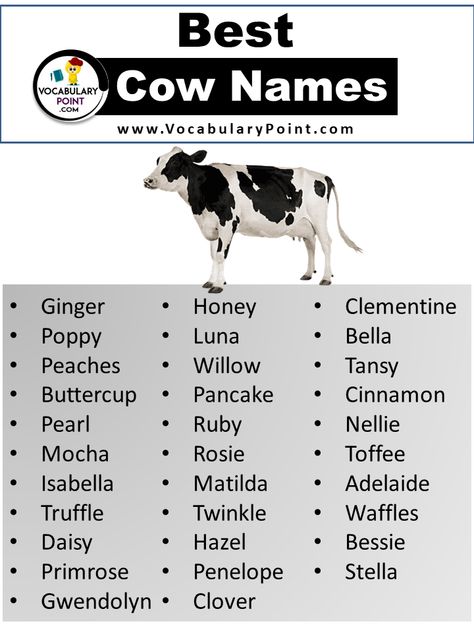 It’s time to give some love and attention to a different kind of pet: cows! Yes, you read that right. These gentle giants are not only milk-producing machines but also have distinct personalities and deserve unique names just like any other beloved pet. So, whether you’re a farmer looking for inspiration or simply a cow ... <a title="250 + Best Cow Names (Cute, Funny& Unique)" class="read-more" href="https://vocabularypoint.com/cow-names/" aria-label="More on 250 + Best Co... Cow Names Ideas, Cow Types, Craft Names, Goat Names, Stuffed Animal Names, Fae Farm, Cute Animal Names, Mother Culture, Female Cow