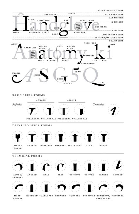 Typeface Design Typography, Typography Basics, Learn Typography, Anatomy Of Typography, Typography Reference, Typeface Inspiration, Type Anatomy, Desk Reference, Type Classification