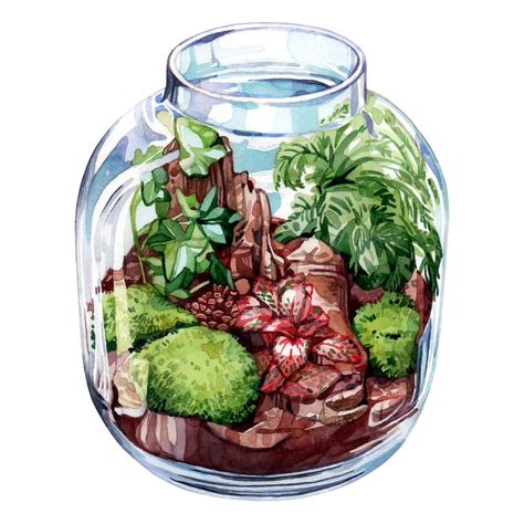 Hello and Happy Saturday! 💖 This is day 19 of #theydrawtober hosted by @theydrawandgarden - terrarium! 🪴 Almost two thirds done of this challenge. . . . #theydrawandcook #theydrawandgarden #watercolorpainting #watercolorart #watercolorartist #watercolorillustration #artchallenge #estonianartist #estonianillustration #theydrawalong #art #illustration #painting #theydrawtober2024 #terrarium #plantillustration #plant #terrariumplants Terrarium Plants, Illustration Painting, Plant Illustration, Art Challenge, Watercolor Artist, Happy Saturday, Watercolor Illustration, Art Illustration, Terrarium