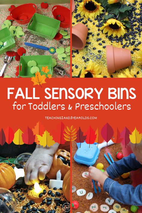 Sensory Bins For Toddlers, Fall Sensory Bin, Fall Activities For Toddlers, Fall Sensory, Fall Crafts For Toddlers, Halloween Sensory, Kids Craft Room, Autumn Activities For Kids, Activities Preschool