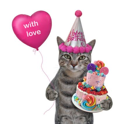 8,300+ Happy Birthday Cat Stock Photos, Pictures & Royalty-Free Images - iStock | Happy birthdays, Happy birthday cake, Happy birthday card Silly Happy Birthday, Hello Kitty Happy Birthday, Happy Birthday Cats, Cat Birthday Wishes, Cats Animated, Cat Birthday Funny, Cat Happy Birthday, Hello Kitty Happy, Birthday Card Pictures