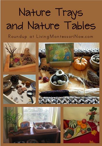 Nature Trays and Nature Tables- trays would be a good idea to display our nature finds! Montessori Science, Reggio Classroom, Nature School, Montessori Ideas, Reggio Inspired, Montessori Classroom, Outdoor Classroom, Nature Table, Preschool Science