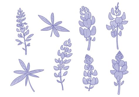 Bluebonnet Flower Vectors. Choose from thousands of free vectors, clip art designs, icons, and illustrations created by artists worldwide! Hand Embroidery Bluebonnets, Tiny Bluebonnet Tattoo, Dainty Bluebonnet Tattoo, Bluebonnet Drawing, Bluebonnet Tattoo, Bluebonnet Flower, Texas Tattoo, Black And White Png, Blue Bonnet