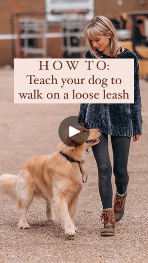 Things For Dogs, Poodle Training, Loose Leash Walking, Walking Outside, Walking Your Dog, Eye Contact, Hard To Get, Working Dogs, Dog Training Tips